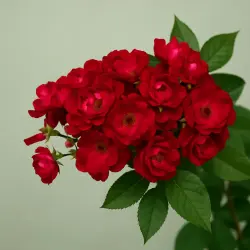 Ильменау